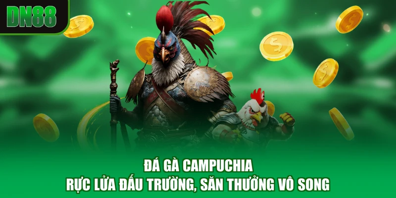 Đá Gà Campuchia - Rực Lửa Đấu Trường, Săn Thưởng Vô Song