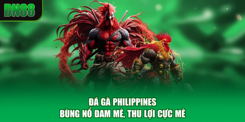 Đá Gà Philippines - Bùng Nổ Đam Mê, Thu Lợi Cực Mê