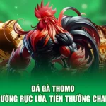 Đá Gà Thomo - Đấu Trường Rực Lửa, Tiền Thưởng Chan Chứa
