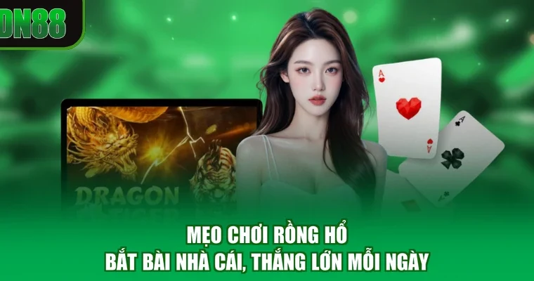 Mẹo Chơi Rồng Hổ - Bắt Bài Nhà Cái, Thắng Lớn Mỗi Ngày